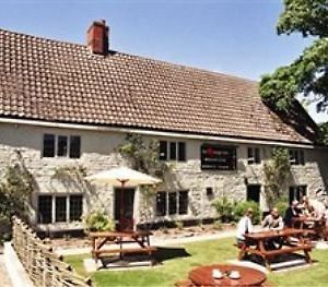 The Orange Tree